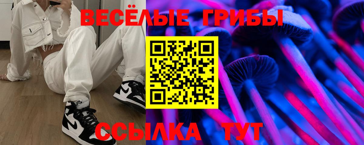 Псилоцибиновые грибы мицелий Конаково